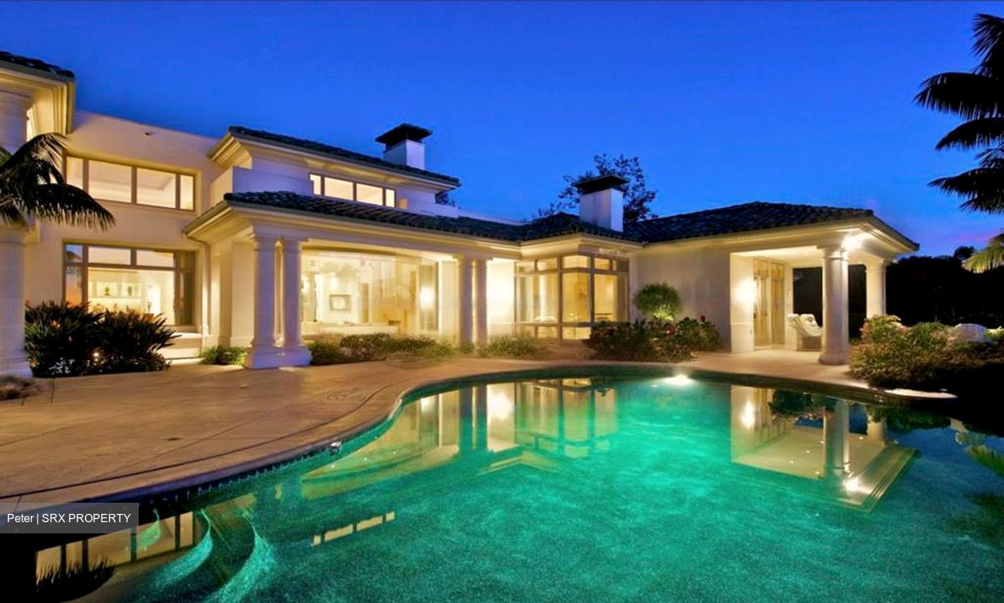 Raffles Park (D11), Detached #468796451